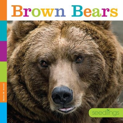 Brown Bears by Arnold, Quinn M.