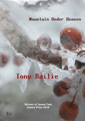 Mountain Under Heaven by Bailie, Tony