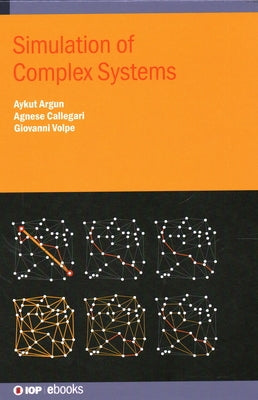 Simulation of Complex Systems by Argun, Aykut