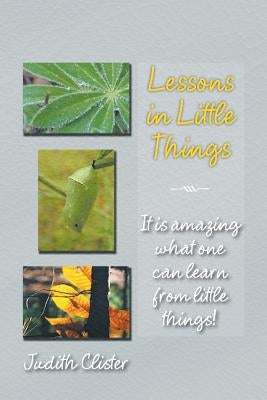 Lessons in Little Things: It Is Amazing What One Can Learn from Little Things! by Clister, Judith