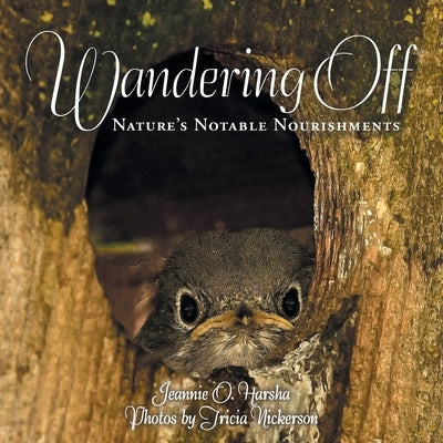 Wandering Off: Nature's Notable Nourishments by Harsha, Jeannie O.