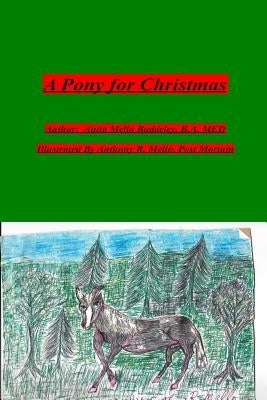 A Pony for Christmas: Memories of My Dad and Grandfathers by Baddeley, Anita Mello