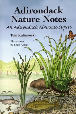 Adirondack Nature Notes: An Adirondack Almanac Sequel by Kalinowski, Tom