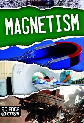 Magnetism by Brundle, Joanna