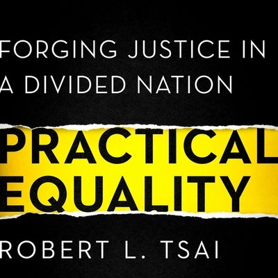 Practical Equality: Forging Justice in a Divided Nation by Tsai, Robert