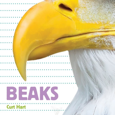 Whose Is It? Beaks by Hart, Curt