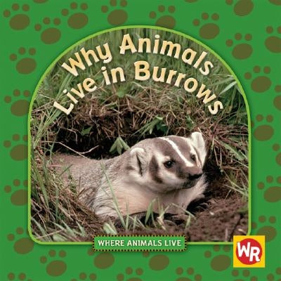 Why Animals Live in Burrows by Weber, Valerie J.