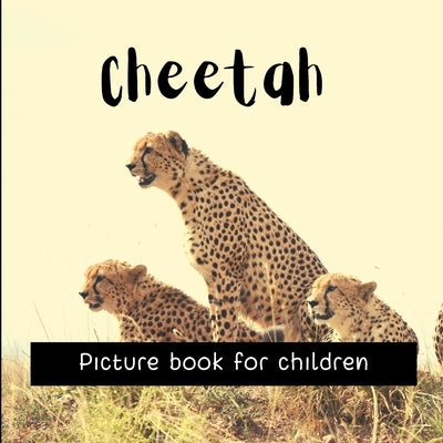 Cheetah: Picture book for children by Midar, Bruno