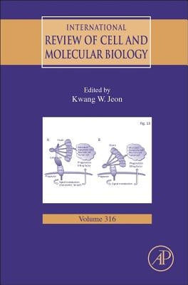 International Review of Cell and Molecular Biology: Volume 316 by Jeon, Kwang W.