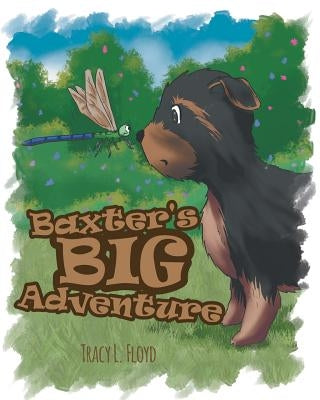 Baxter's Big Adventure by Floyd, Tracy L.