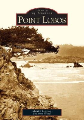 Point Lobos by Hudson, Monica