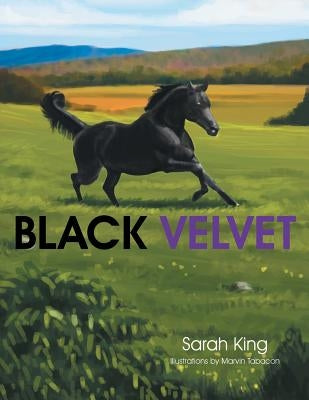 Black Velvet by King, Sarah