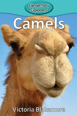 Camels by Blakemore, Victoria