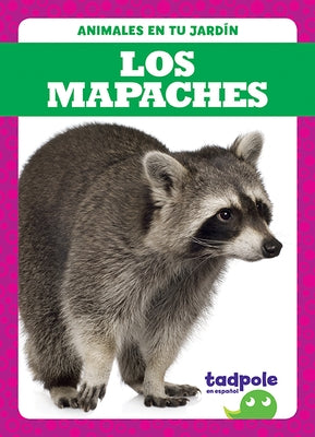 Los Mapaches (Raccoons) by Nilsen, Genevieve