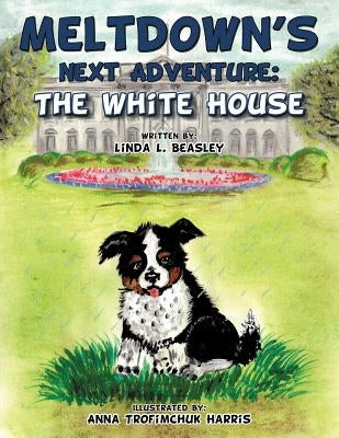 Meltdown's Next Adventure: The White House by Beasley, Linda L.