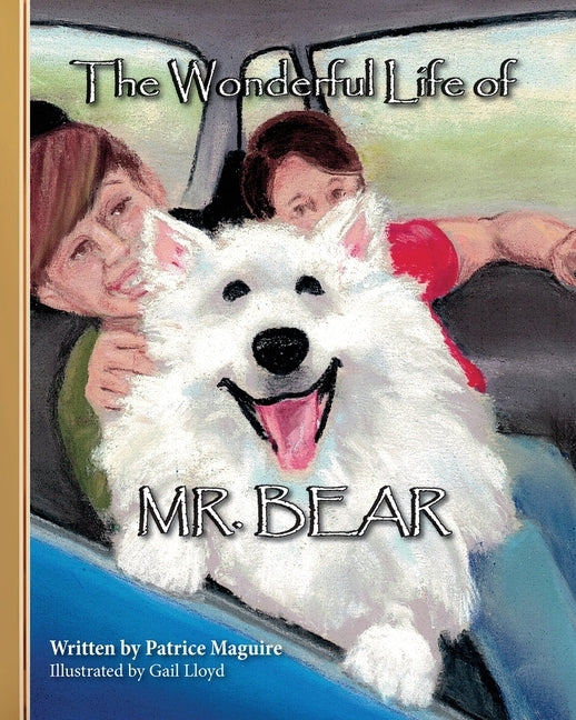 The Wonderful Life of Mr. Bear by Maguire, Patrice