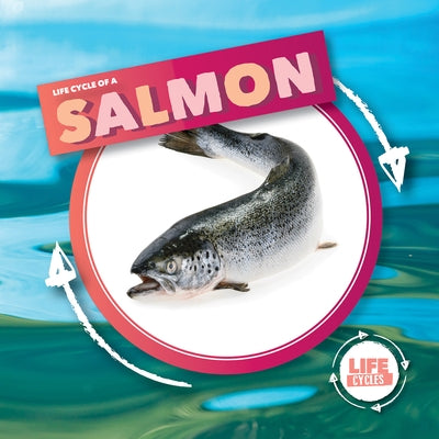 Life Cycle of Salmon by Holmes, Kirsty