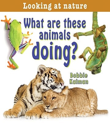 What Are These Animals Doing? by Kalman, Bobbie