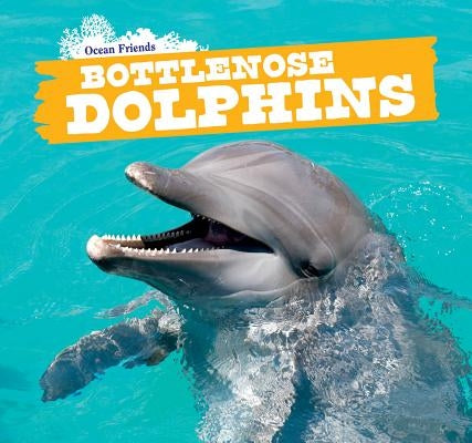 Bottlenose Dolphins by McAneney, Caitie