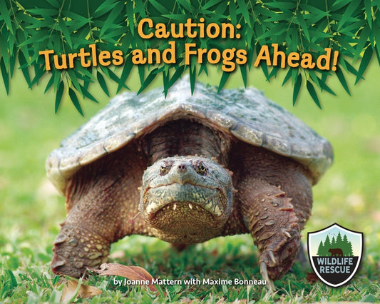 Caution: Turtles and Frogs Ahead! by Mattern, Joanne