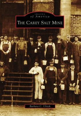 The Carey Salt Mine by Ulrich, Barbara C.