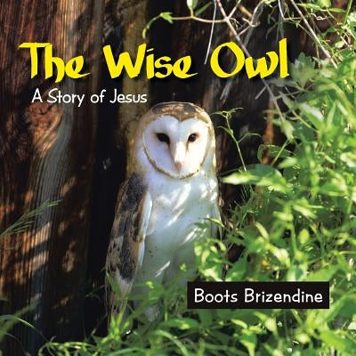 The Wise Owl: A Story of Jesus by Brizendine, Boots