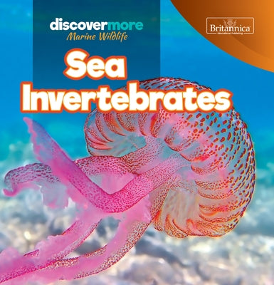 Sea Invertebrates by Salvatore, Kaitlyn