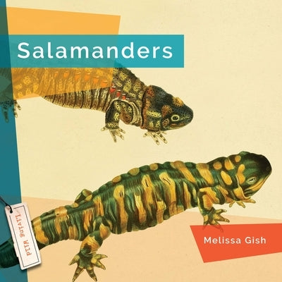 Salamanders by Gish, Melissa