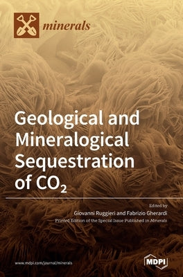 Geological and Mineralogical Sequestration of CO2 by Ruggieri, Giovanni