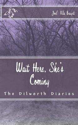 Wait Here, She's Coming by Baiget, Joel Vila