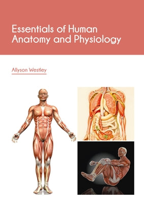 Essentials of Human Anatomy and Physiology by Westley, Allyson