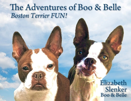 The Adventures of Boo & Belle: Boston Terrier FUN! by Slenker, Elizabeth