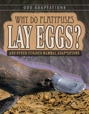 Why Do Platypuses Lay Eggs?: And Other Curious Mammal Adaptations by Fletcher, Patricia