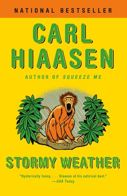 Stormy Weather by Hiaasen, Carl