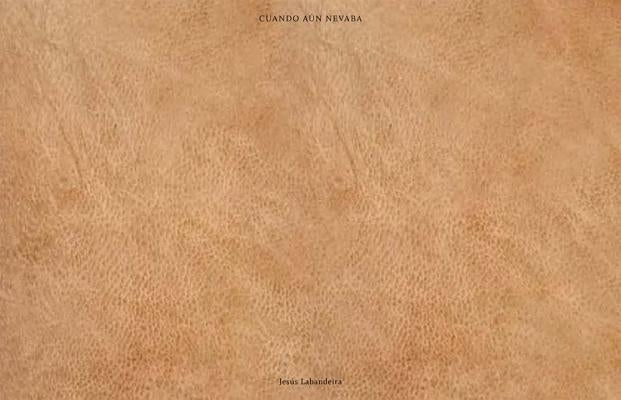 Jesús Labandeira: Cuando Aún Nevaba: When It Still Used to Snow by Labandeira, Jesus