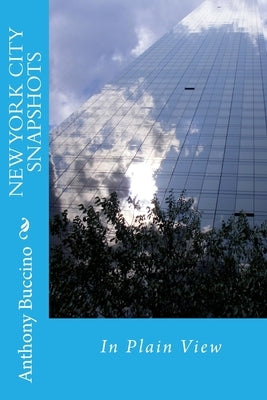 NEW YORK CITY SNAPSHOTS In Plain View by Buccino, Anthony R.
