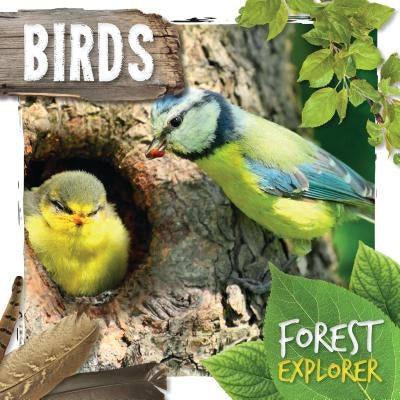 Birds by Twiddy, Robin