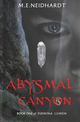 Abysmal Canyon: A Young Adult/New Adult Crossworlds Science Fantasy Novel (Domina Lumen Book 1) by Neidhardt, M. E.