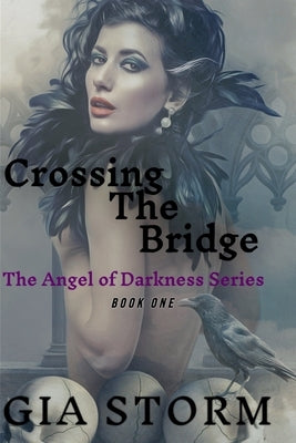 Crossing The Bridge: Book One by Storm, Gia