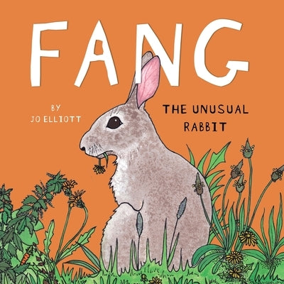 FANG - The Unusual Rabbit by Elliott, Jo