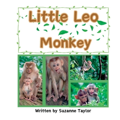 Little Leo Monkey by Taylor, Suzanne