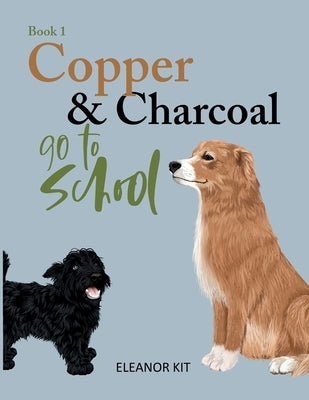Copper & Charcoal go to School by Duvenage, Lizette