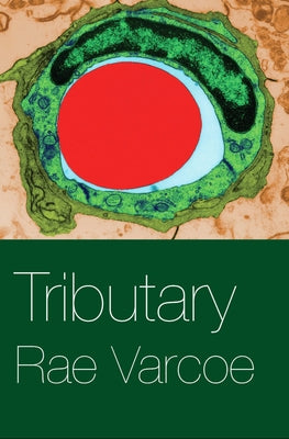 Tributary by Varcoe, Rae