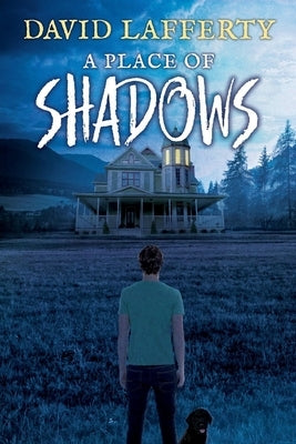 A Place of Shadows: Volume 1 by Lafferty, David