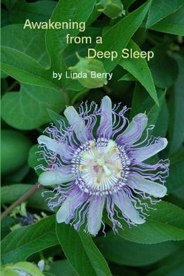 Awakening From A Deep Sleep by Berry, Linda