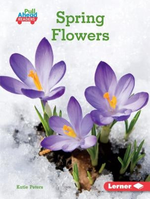 Spring Flowers by Peters, Katie