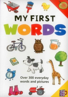 My First Words: Over 300 Everyday Words and Pictures by Lewis, Jan