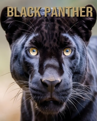 Black Panther: The Essential Guide to This Amazing Animal with Amazing Photos by Vane, Isla