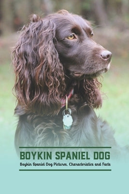 Boykin Spaniel Dog: Boykin Spaniel Dog Pictures, Characteristics and Facts by Mollie, Gosnell