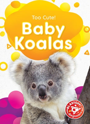 Baby Koalas by Sabelko, Rebecca